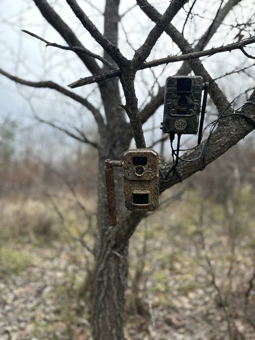 ForestCamLive F8 Gps 4G Termometru Camera Vanatoare Live