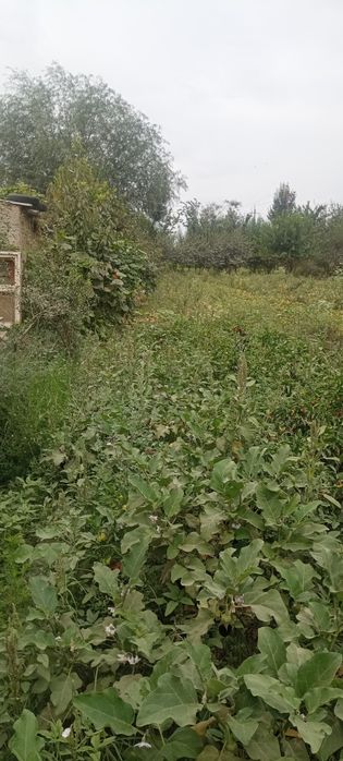 Шахардан ташкарида участок