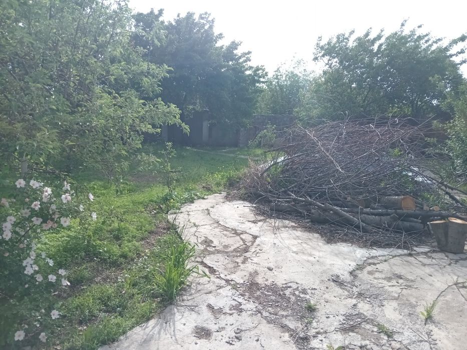 Дача сотилади 6 сотик