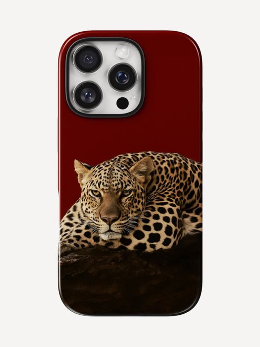 Чехлы для iPhone с качественной печатью