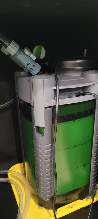 Аквариумные растения