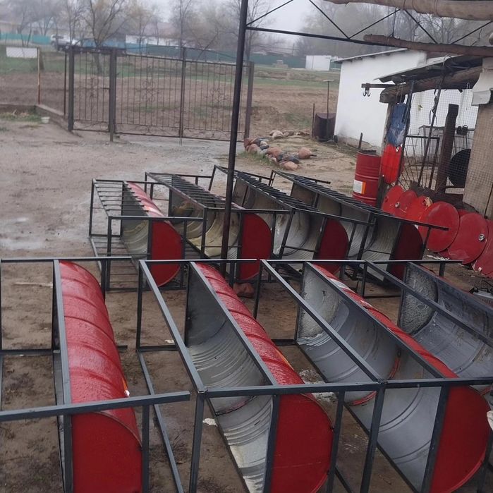 Астау науа ақыр қой