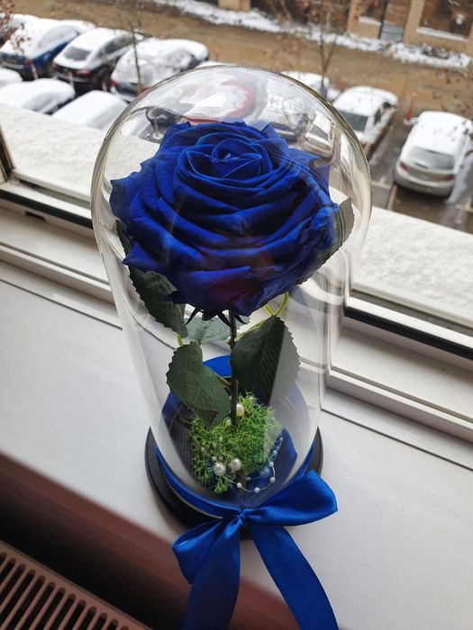 Cupola de sticla cu trandafir conservat albastru regal 25 cm 150 lei