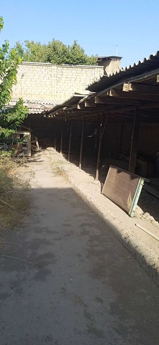 Продаю  5 соток   ор-р  Рисовый базар Алтынкуль м-ля  под застройку