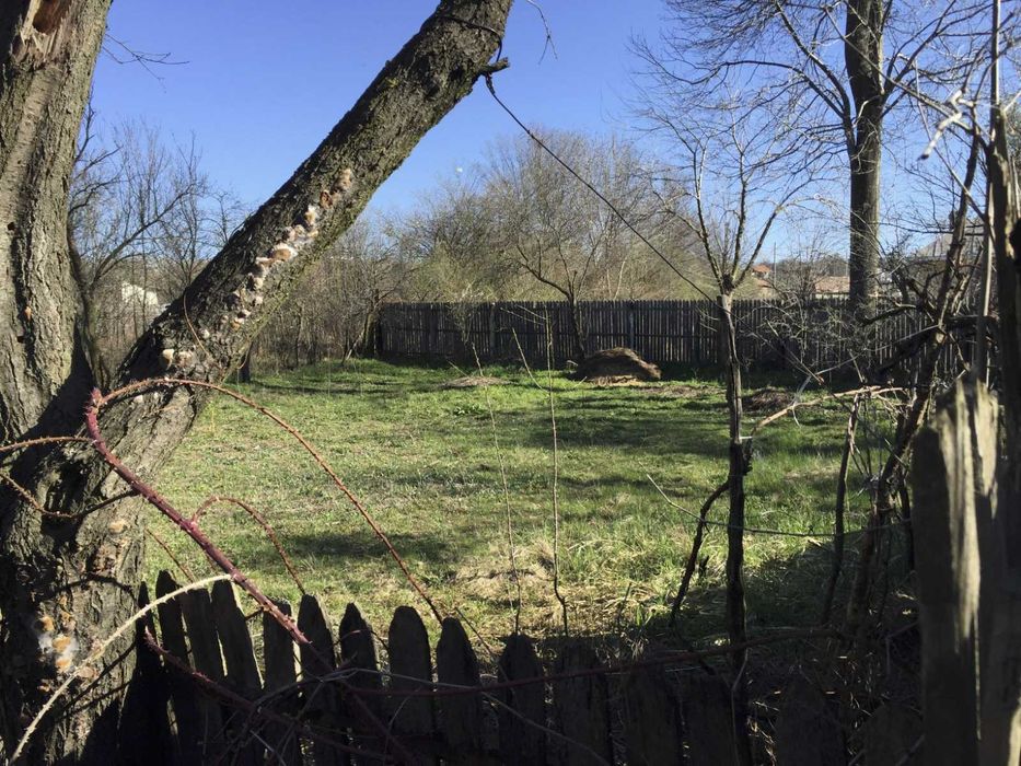 Proprietar teren casa intravilan Potcoava