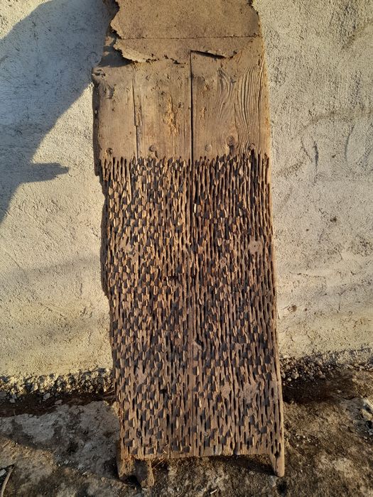 Диканя в автентичен вид