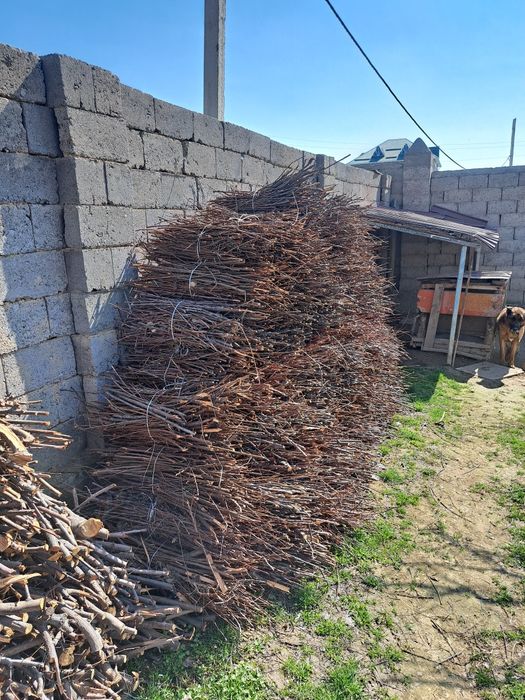 Отын шақ сатылады