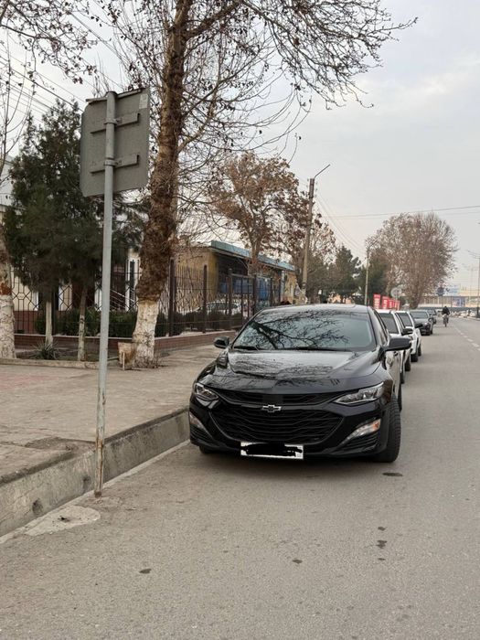 Malibu 2xl qora kraska tozza masla