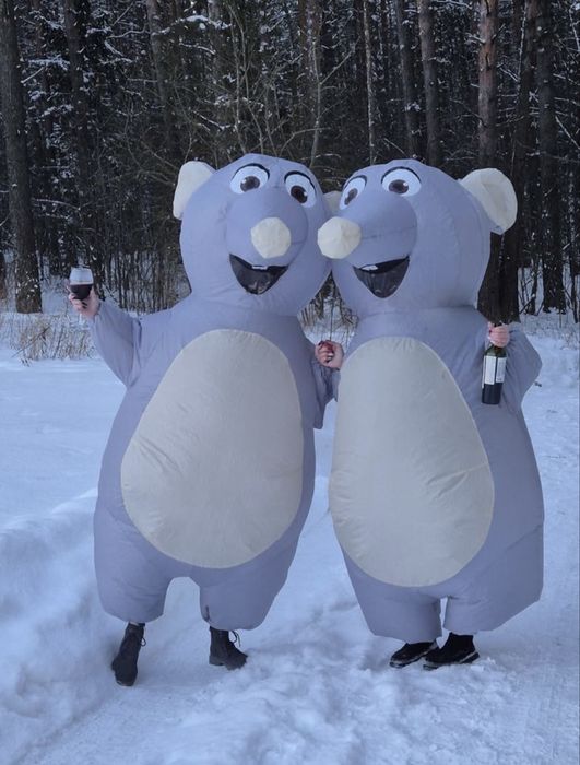 Аренда костюмов крыс