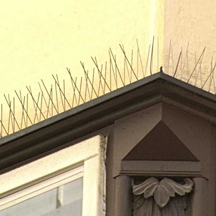 Banda antipasari cu suport din inox, AISI 302, 1 metru, 60 tepi