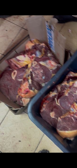 Согым  бие 1 аяктап 3000 тг