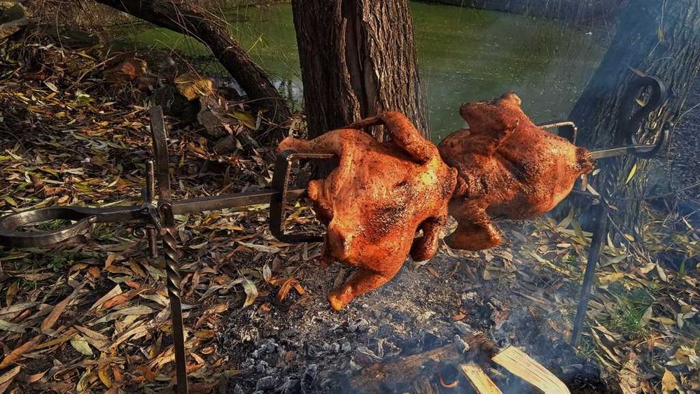 Rotisor forjat manual,