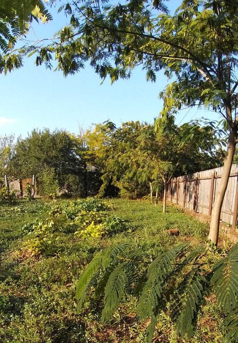 Teren intravilan sat Unirea