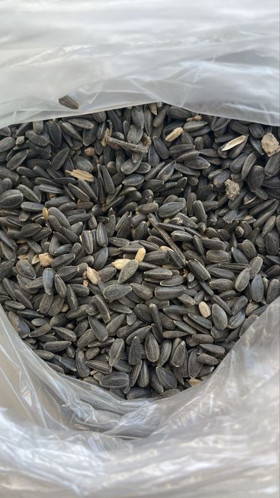 Семечки для птиц