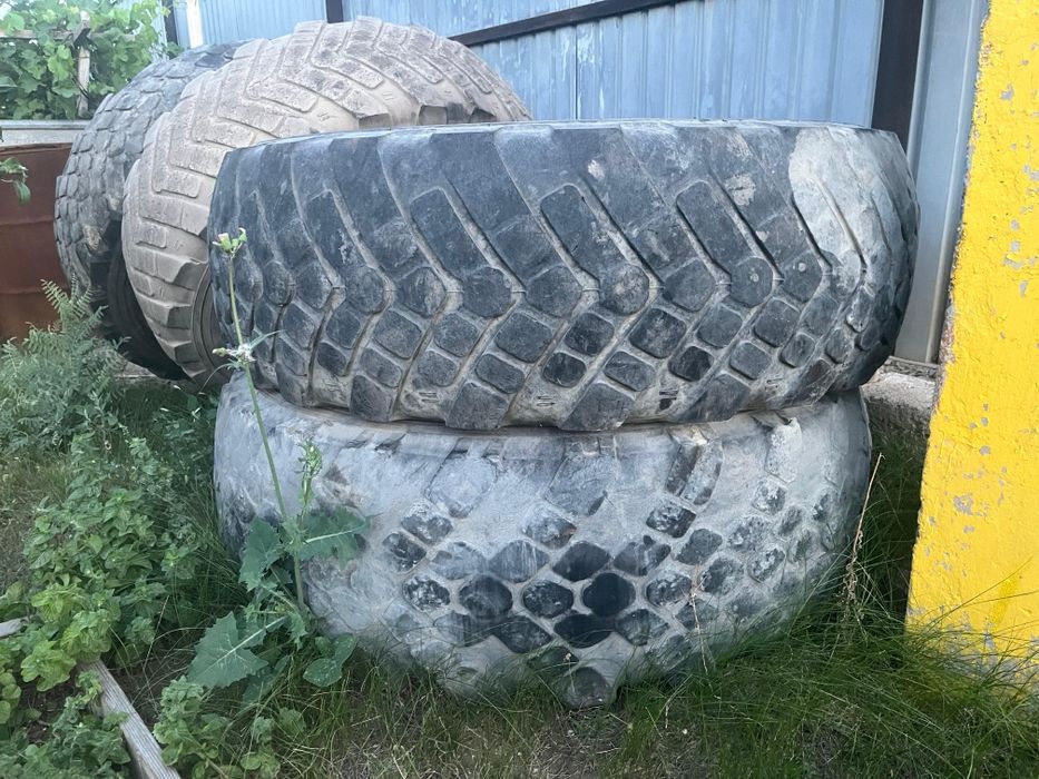 Дөңгелектер сатылады