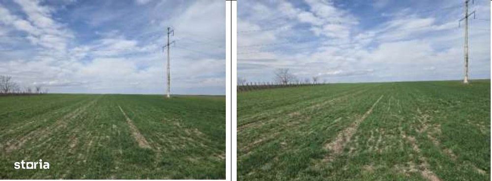 Teren extravilan Cota parte 29/64 Greaca, ID: R3030129