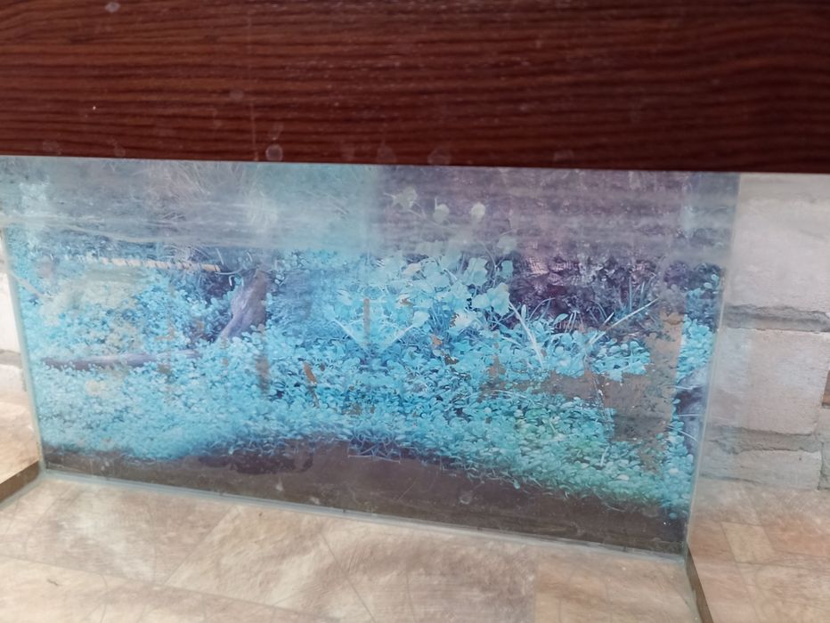 Аквариум б/у 30 литров за 5000 тг