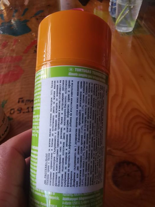 Храна за сухоземни костенурки