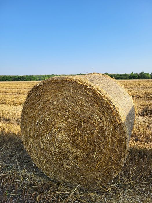 Baloti ciocani  lucerna  si paie 150/120