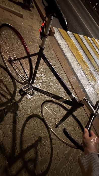 Gray Team/ Fixed Gear