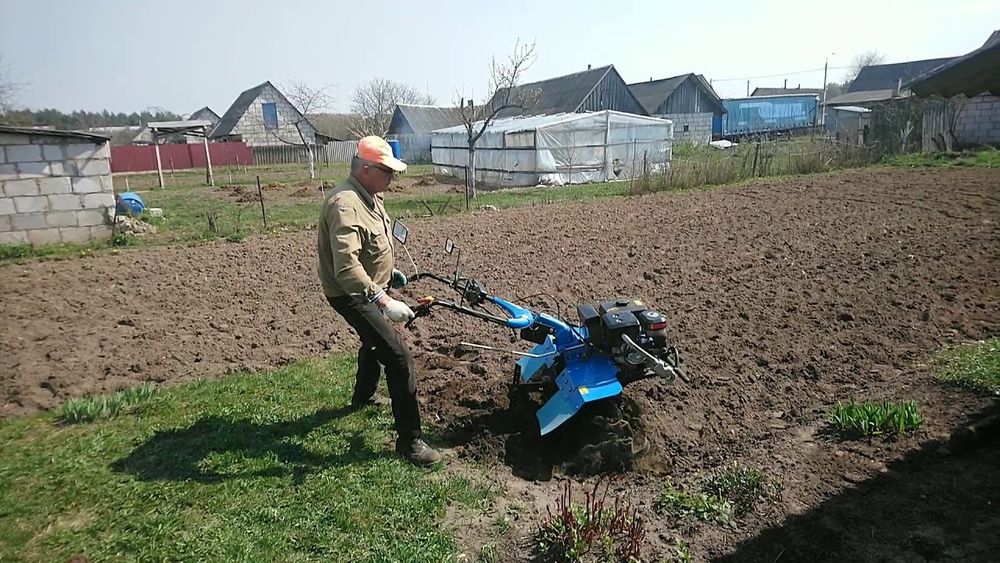 Вспышка огородов