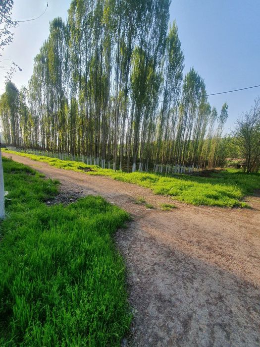 Нотурар бино иншоатлари