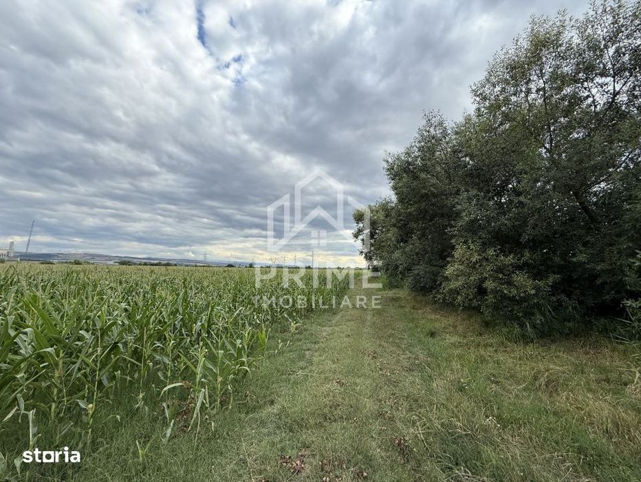 Teren Extravilan | 7.000 MP | DNCALB | Alba Iulia