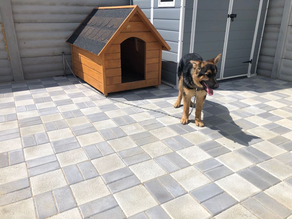 Pavaje, Pavele, Borduri, Dale pentru gradina Montaj pavaj