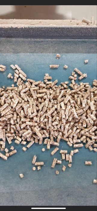 Борино Лес 100% иглолистни от Производител