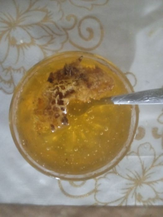 Sof Qashqadaryo tog' va chul asallari.