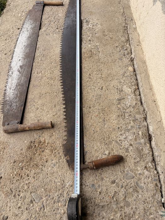 Se vinde JOAGĂR de 1,5 m