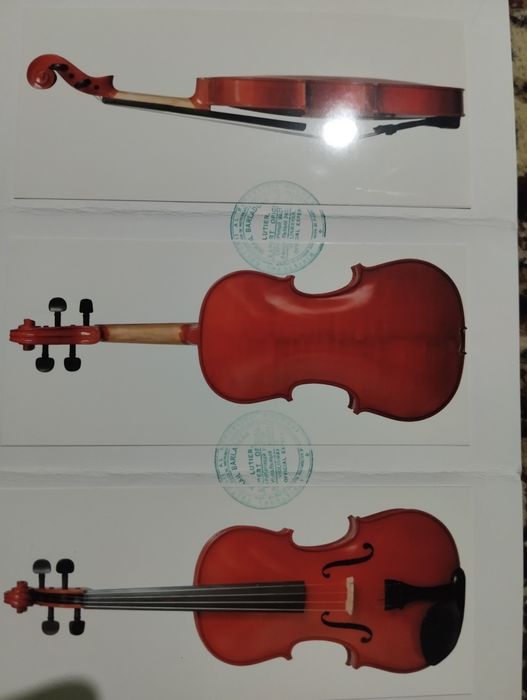 Skripka alt sotiladi xolati zor