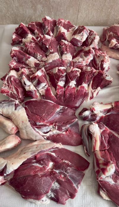 Qoy qochqor toza goshiga 135 min