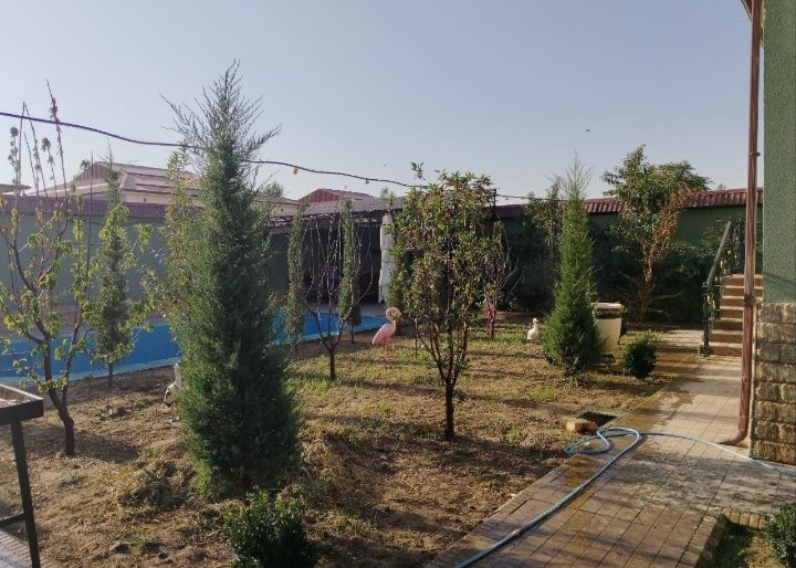 Срочно сдаётся участок в аренда янги узбекистан