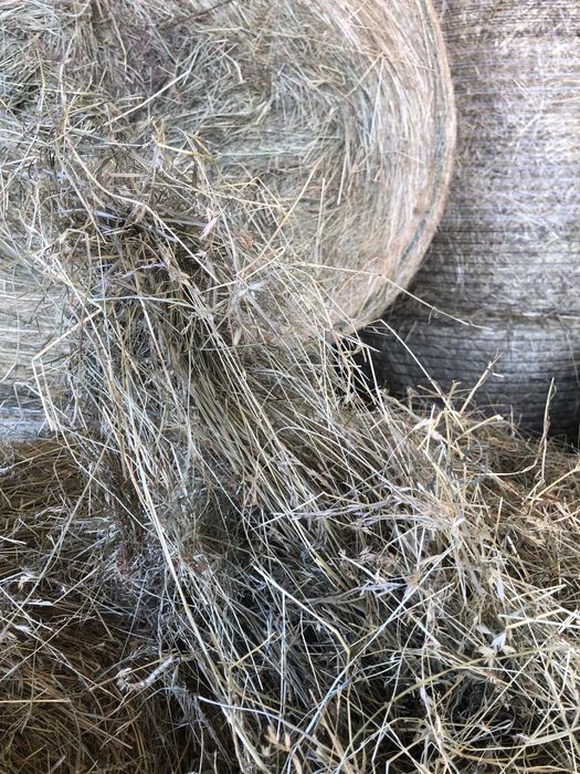 Fan amestec cu lucernă