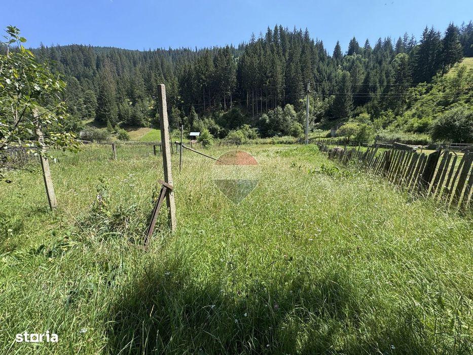 De vanzare | Teren intravilan 1342 mp in Sabasa | Borca | Neamt
