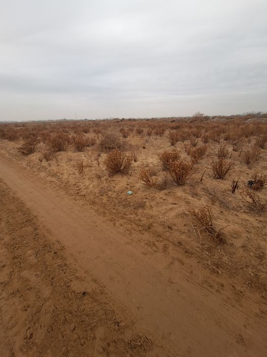 Пахтачи oфйда Зудлик билан ер участка сотилади 6 соток