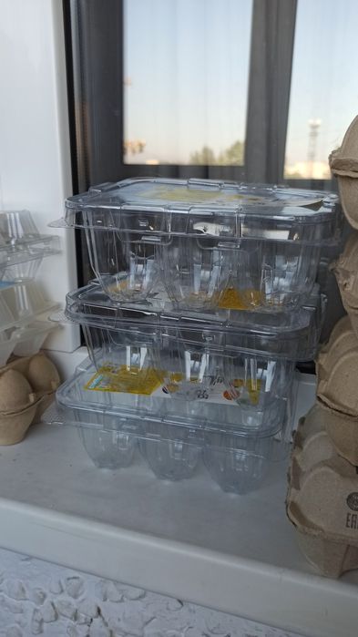 Лотки для яиц бесплатно