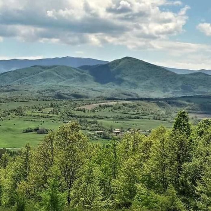 Продава се Парцел в с. Попрусевци, Област Велико Търново - 1200 кв.м за 8 €/кв.м - Снимка #1