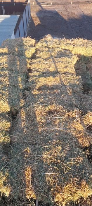 Прес бар жонышка камыс