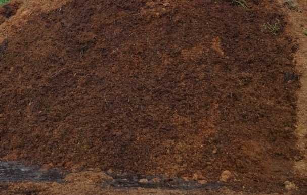 Гунг куйдирилган тозаси сифат доставка Сирдарё буйлаб