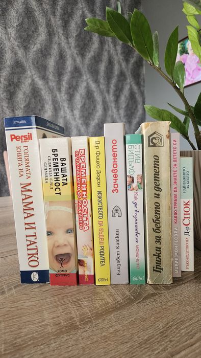 Зачеване, бременност, майчинство