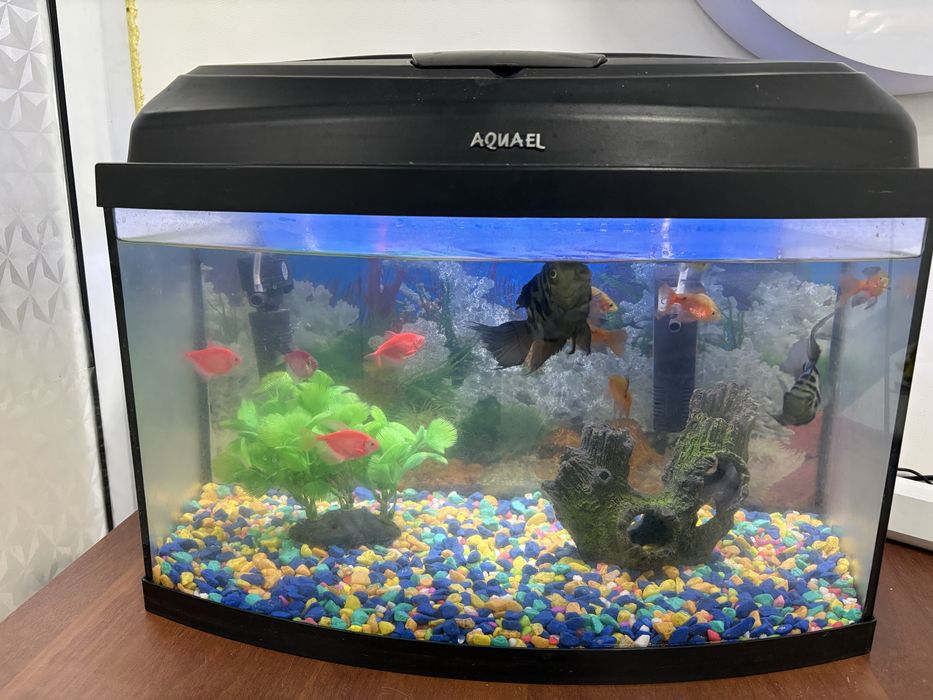Продам Аквариум с рыбу
