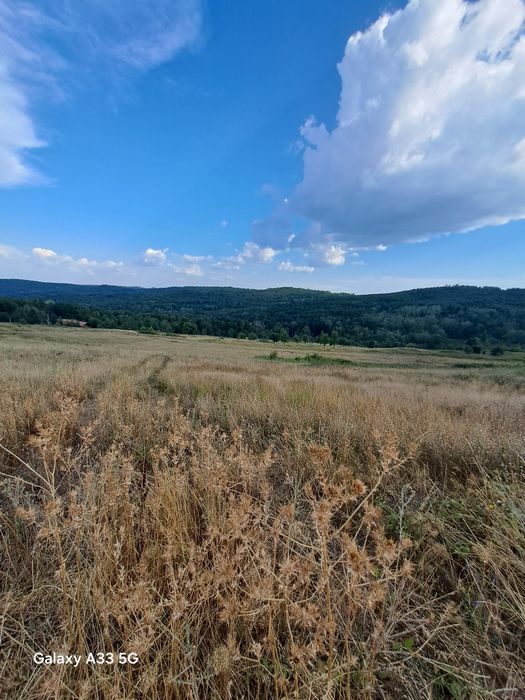 Teren intravilan,cca 40 HA BLOC UNIC ,zona ind.servicii, arabil, ,pasi