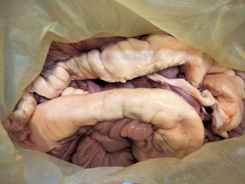 Жирный конский карын.