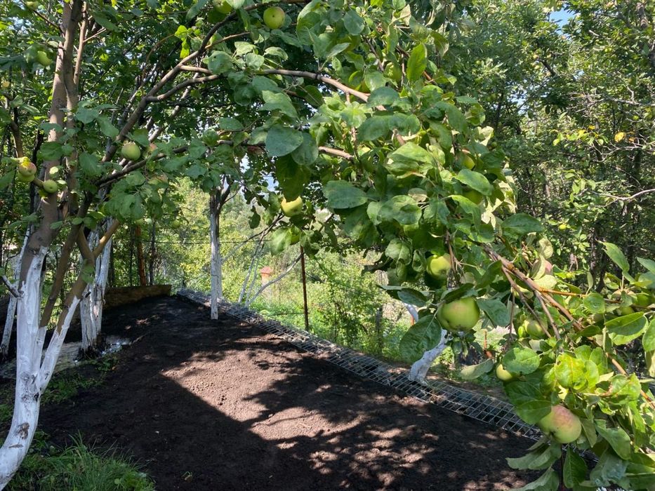 Дача "Родники" саяжай үйі