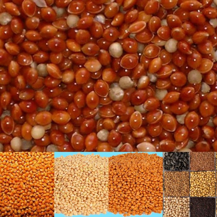 Зерновые культуры korma