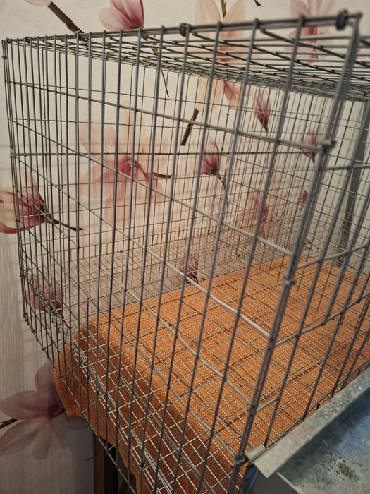 Cusca pui,gaini 90/65/50