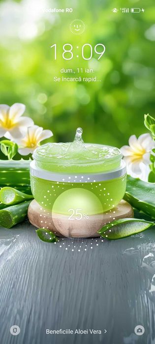 Persoane in vârstă