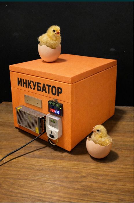 Inkubator hizmat zangiotada joylashgan